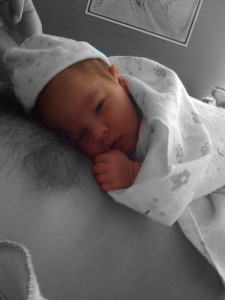 Piper Anne Stovall Piper Anne Stovall